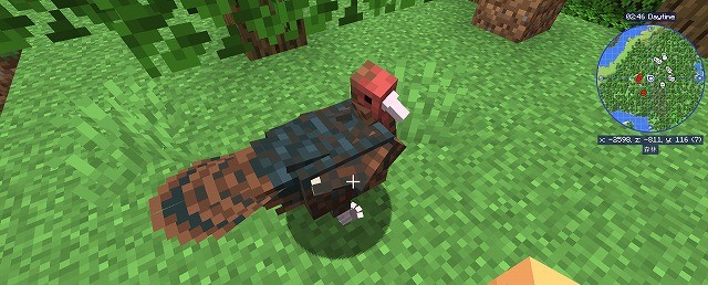 Better Animals Plus｜木の上や地面をちょこちょこ歩く、小さな鳥も登場します。