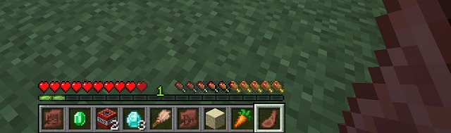 AppleSkin｜今どれくらいお腹が減っているかが、ひと目で分かります