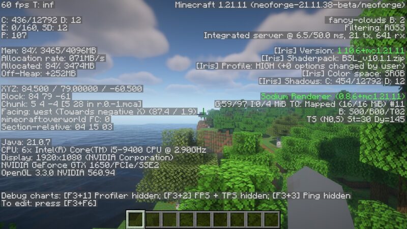 【GTX1650】BSL（影MOD） ON / 描画距離12